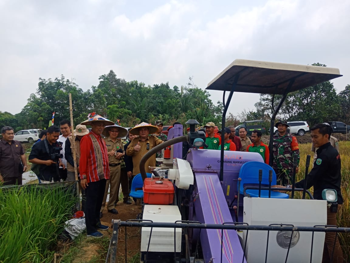 Bupati FX Yapan Menghadiri Syukuran Dan Panen Perdana Di Rapak Oros